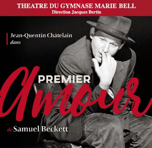 Affiche de Premier Amour