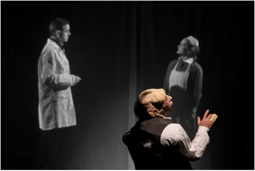 Photo Elephant Man