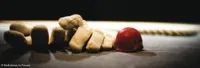 Le combat - 