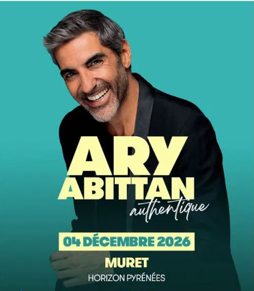 Affiche de Ary Abittan dans Authentique
