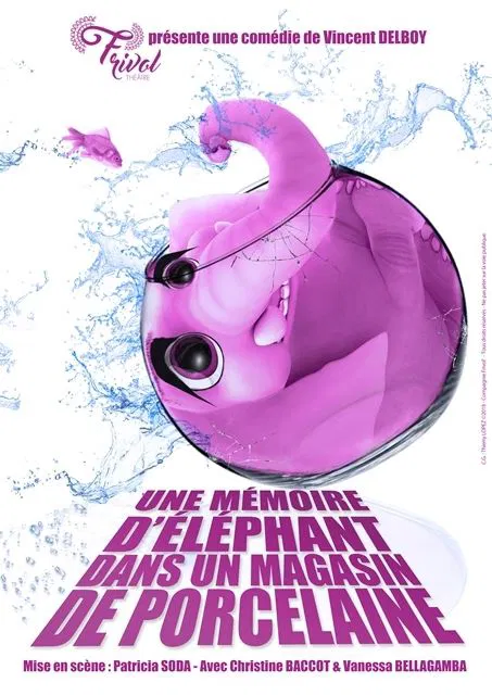 Affiche de Une mémoire d'éléphant (dans un magasin de porcelaine)