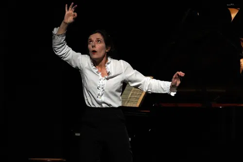 Photo 3 de Mozart, le dernier voyage à Paris