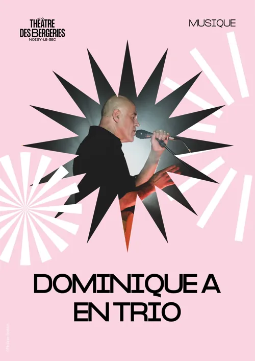 Affiche de Dominique A