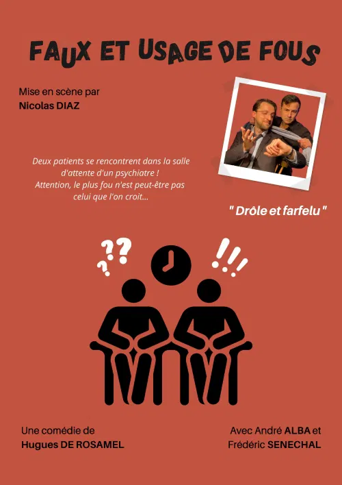 Affiche de Faux et usage de fous