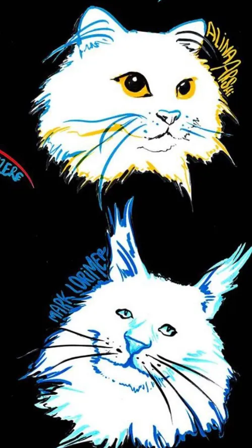 Affiche de Les chats (ou ceux qui frappent et ceux qui sont frappés)