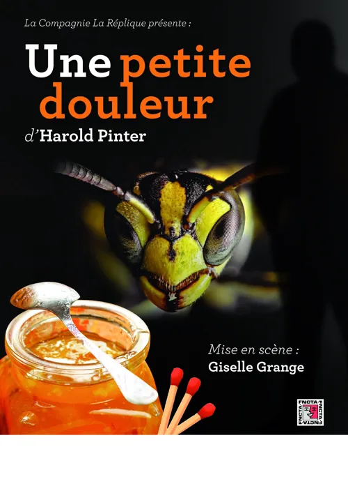 Affiche de Une petite douleur