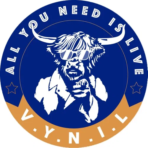 Logo VYNIL