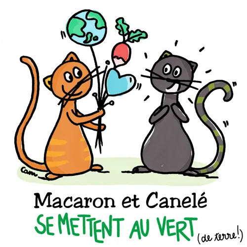 Affiche de Macaron et Canelé se mettent au vert !