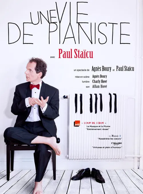 Affiche de Une vie de pianiste