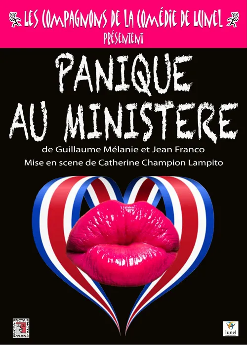 Affiche de Panique au ministère
