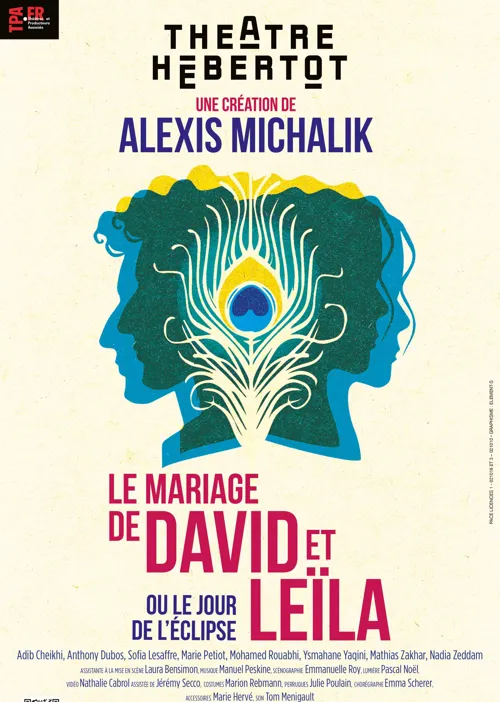 Affiche de Le mariage de David et Leila