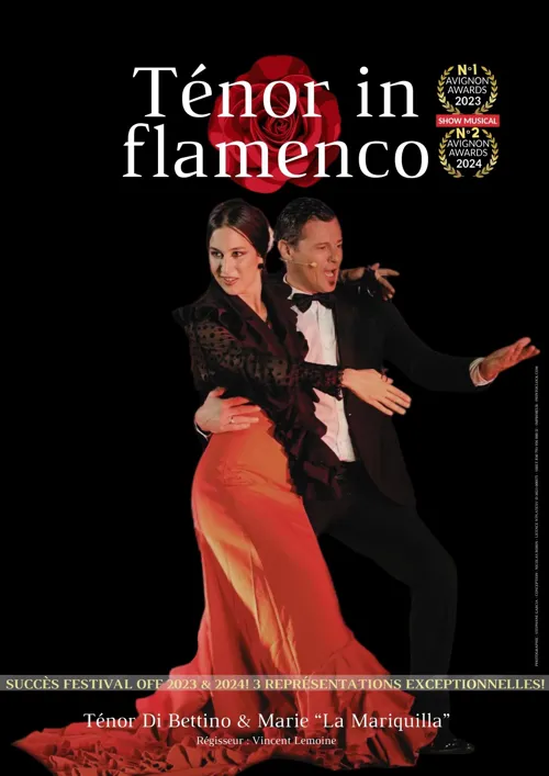 Affiche de Ténor in flamenco, le show musical du Festival d'Avignon