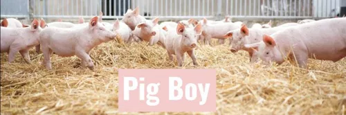 Affiche de Pig boy