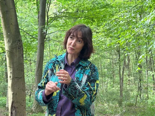 Photo 3 de Promenade contée au bois de Vincennes