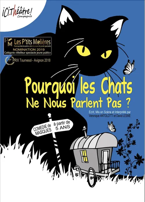 Affiche de Pourquoi les chats ne nous parlent pas ?