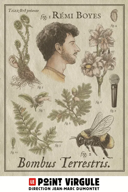 Affiche de Rémi Boyes