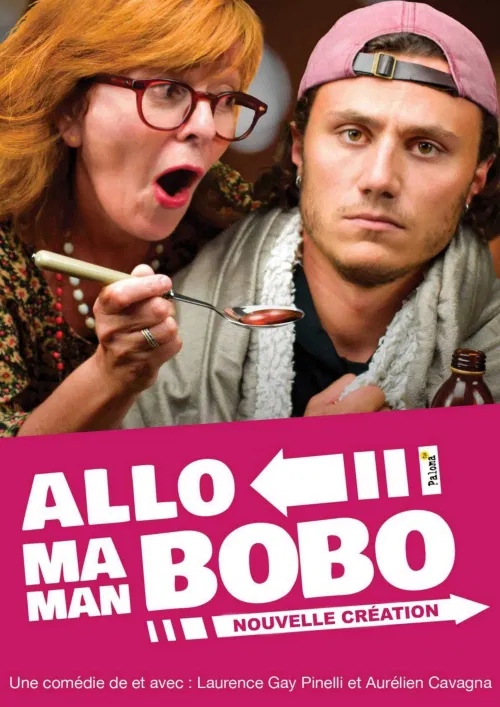 Affiche de Allo maman bobo