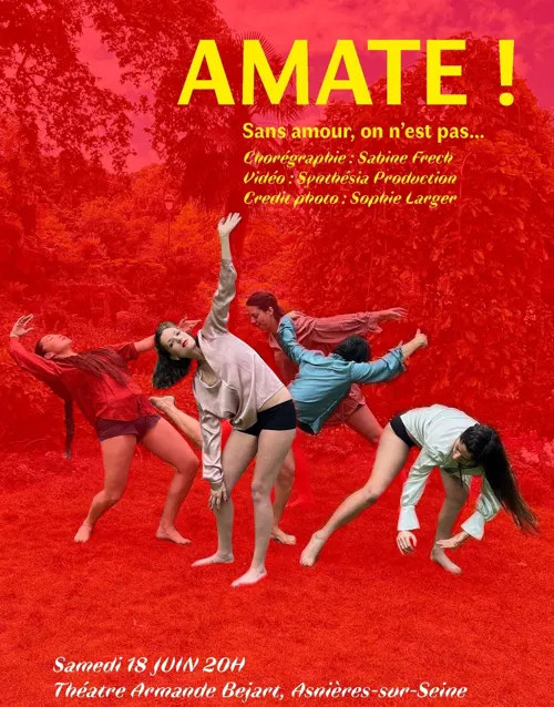 Affiche de Amate !