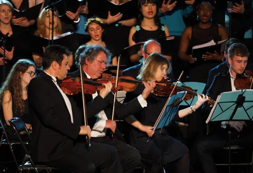 Violons
