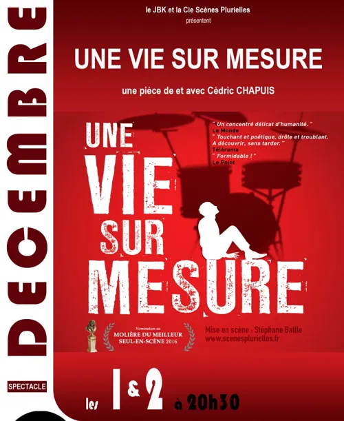 Affiche de Cédric Chapuis dans Une vie sur Mesure