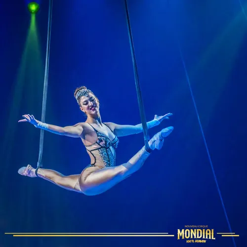 Photo 2 de Cirque Mondial 100% Humain | Grenoble
