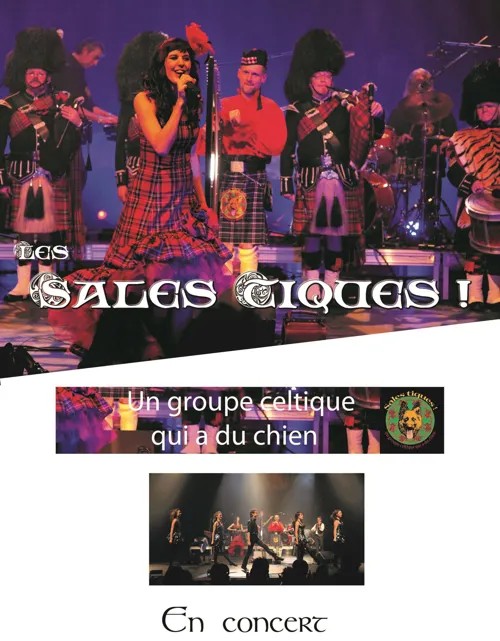 Affiche de Sales Tiques