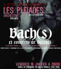 Bach(s) - 