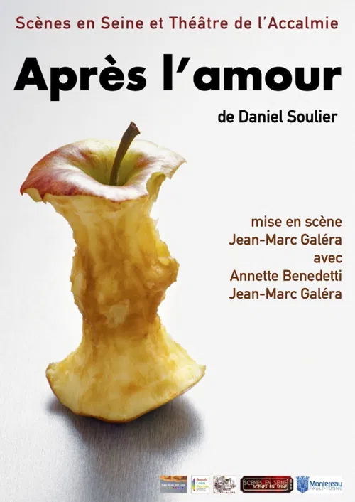 Affiche de Après l'amour