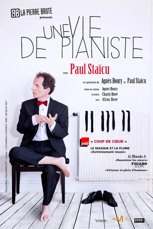 Affiche de Une vie de pianiste