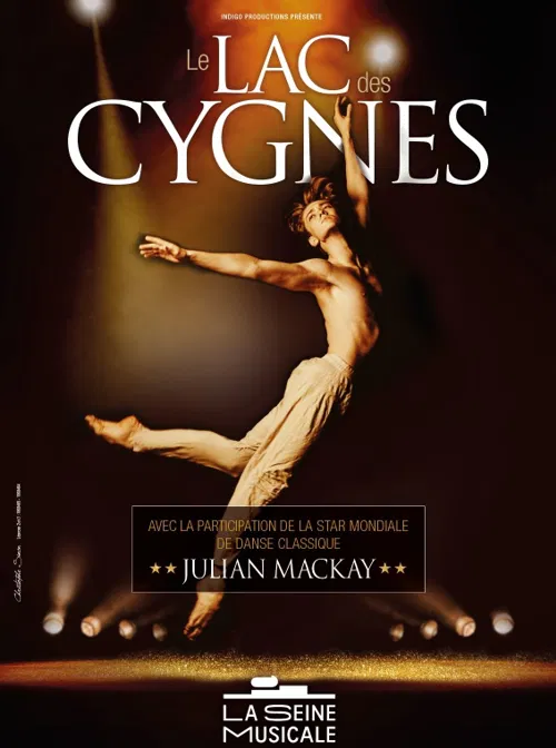 Affiche de Le lac des cygnes