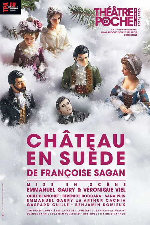 Affiche de Château en Suède