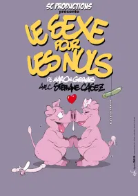 Le sexe pour les nuls - 