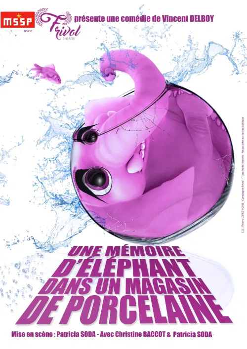 Affiche de Une mémoire d'éléphant (dans un magasin de porcelaine)