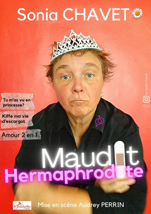 Affiche de Maudit Hermaphrodite