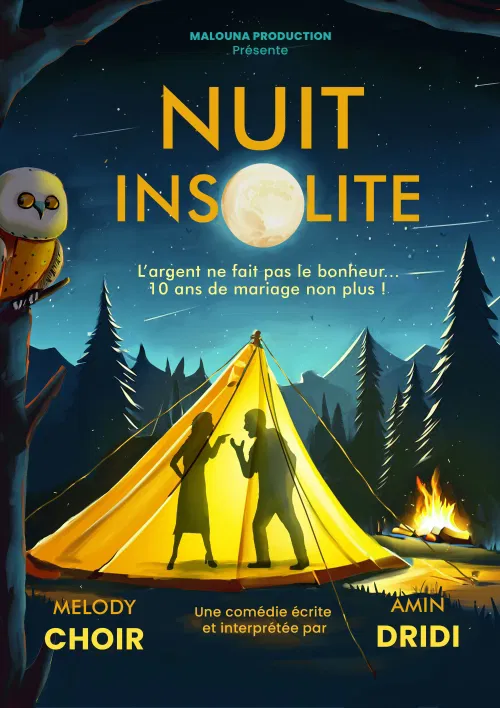 Affiche de Nuit insolite