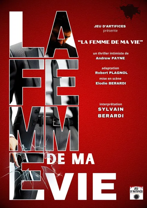 Affiche de La femme de ma vie
