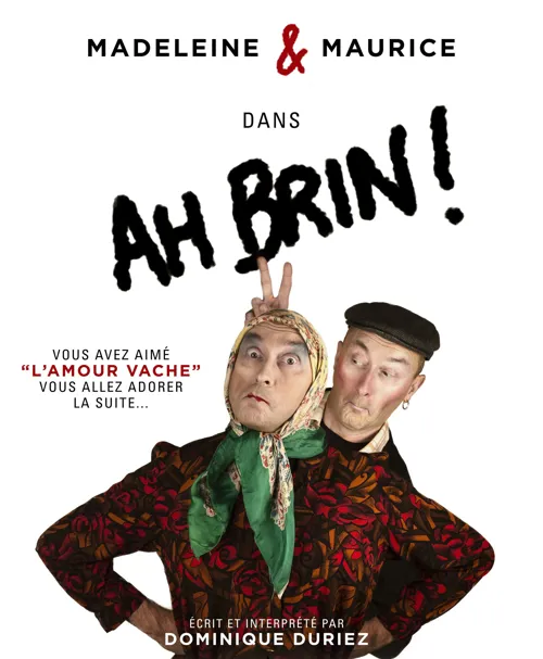 Affiche de Ah brin !