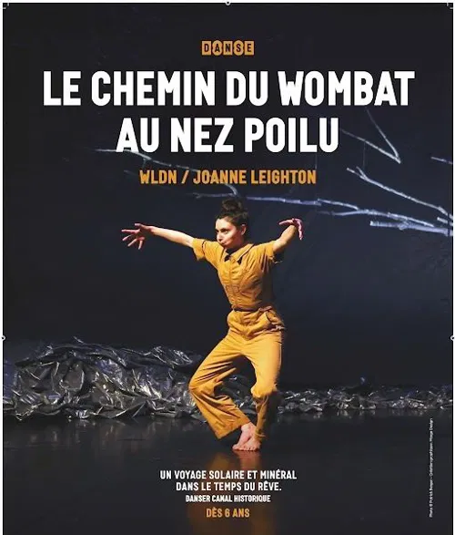 Affiche de Le chemin du Wombat au nez poilu