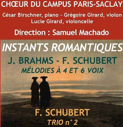 Affiche de Instants romantiques