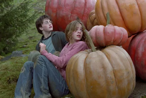 Photo 1 de Harry Potter et le Prisonnier d'Azkaban | Nantes