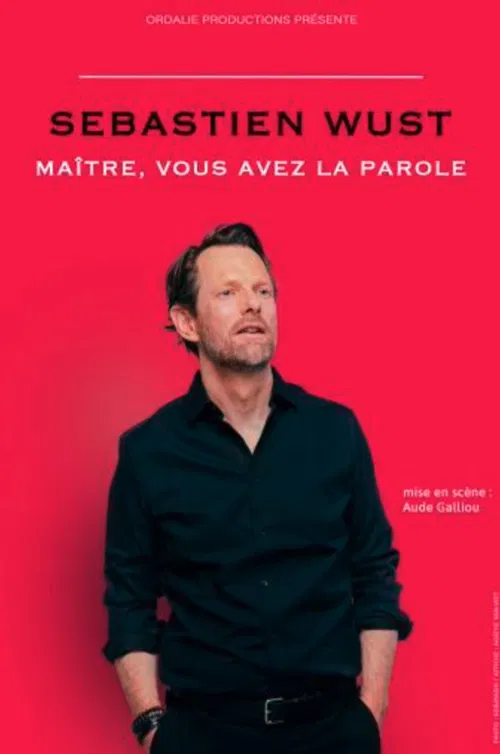 Affiche de Sébastien Wust dans Maître, vous avez la parole