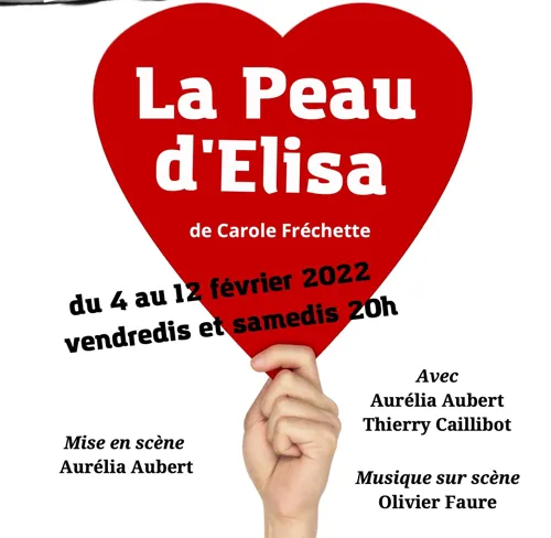 Affiche de La peau d'Elisa