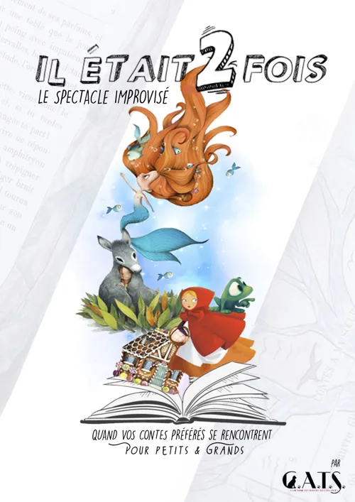 Affiche de Il était 2 fois : conte improvisé