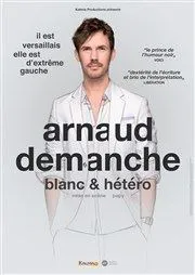 Arnaud Demanche dans Blanc & hetero - 