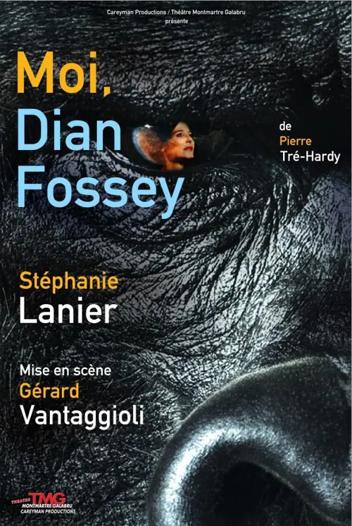 Affiche de Moi Dian Fossey