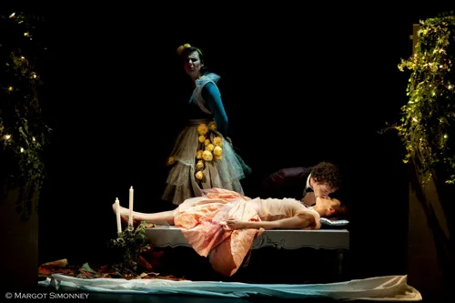 Photo 1 de Rose au bois dormant