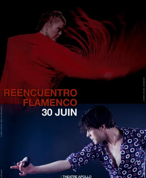 Affiche de Reencuentro flamenco