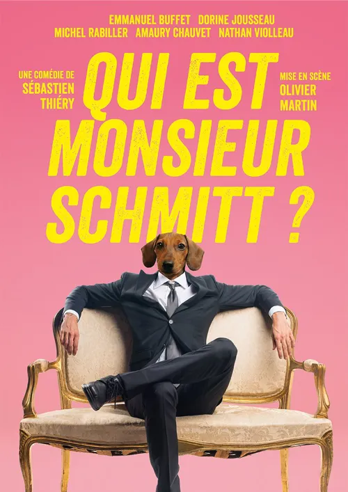 Affiche de Qui est Monsieur Schmitt ?