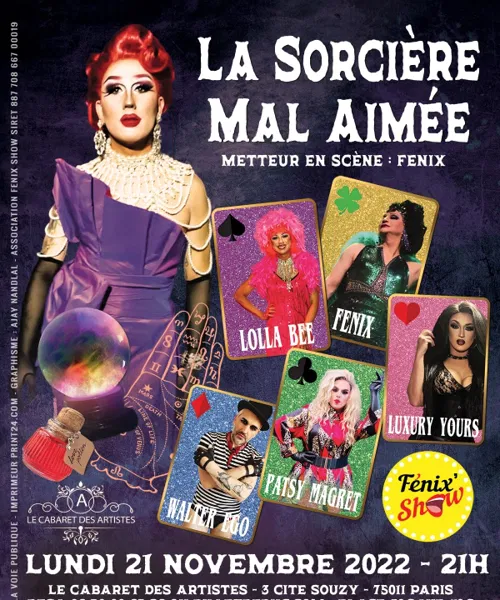 Affiche de La sorcière mal aimée