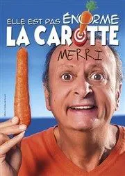 Affiche de Merri dans Elle est pas énorme la carotte !
